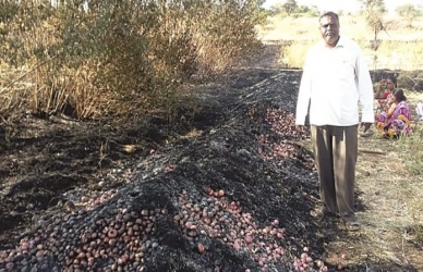 वणवा लागल्याने शेतकऱ्याचे दीड लाखांचे नुकसान