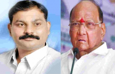 माढा लोकसभा मतदार संघातून राष्ट्रवादीकडून लढणार संजय शिंदे