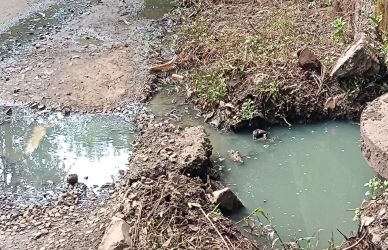 पाचगणीत दुर्गंधीयुक्त ‘गटारगंगा’ रस्त्यावर