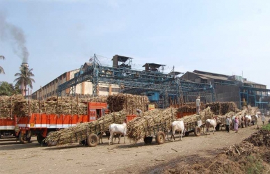 कारखाने, व्यापाऱ्यांच्या चौकशीचा साखर आयुक्तांचा इशारा