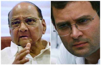 गुजरातमध्ये काँग्रेसच्या अडचणीत वाढ, राष्ट्रवादी सर्व जागा लढणार