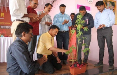 हवा, फळे देणाऱ्या झाडांसमोर नतमस्तक व्हा -अभिनेते सयाजी शिंदे 