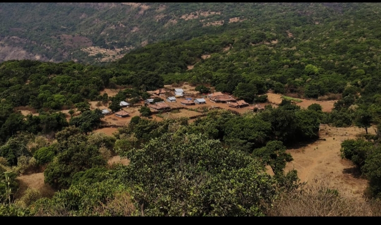 सह्याद्री व्याघ्र प्रकल्पातील कोअर क्षेत्रातील गावांचे तात्काळ पुर्नवसन करावे